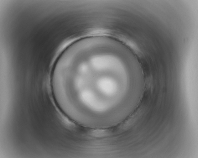 X0000115561470200911131616