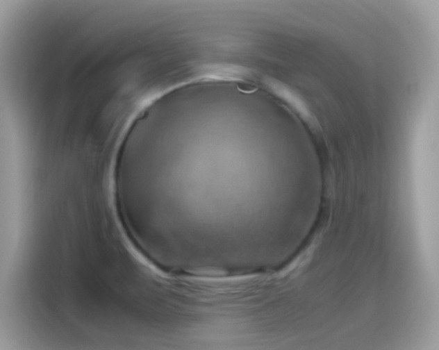 X0000115561471200911131616
