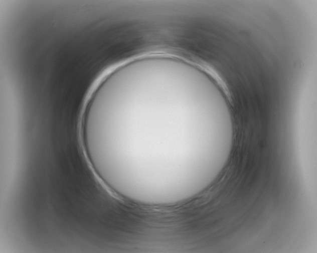 X0000115561472200911131616