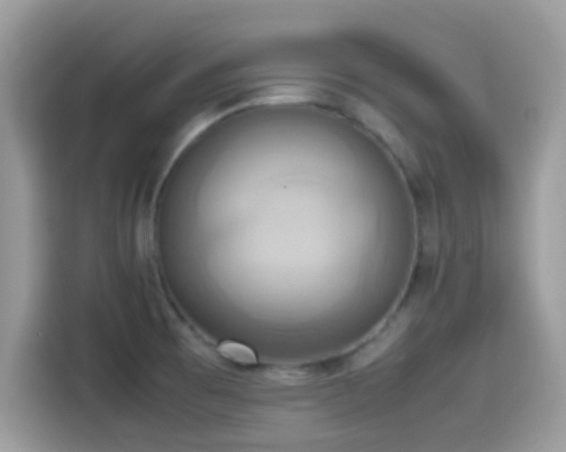 X0000115561473200911131616