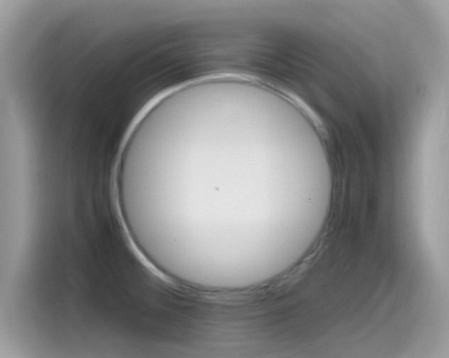 X0000115561476200911131616
