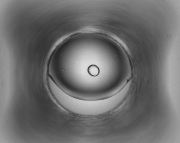X0000115561477200911131616
