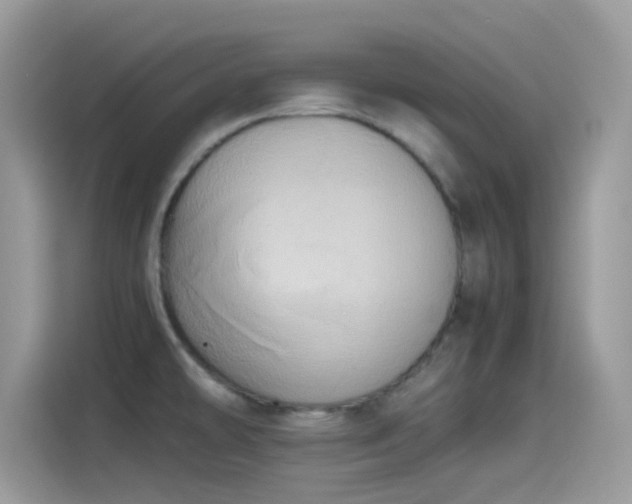 X0000115561478200911131616