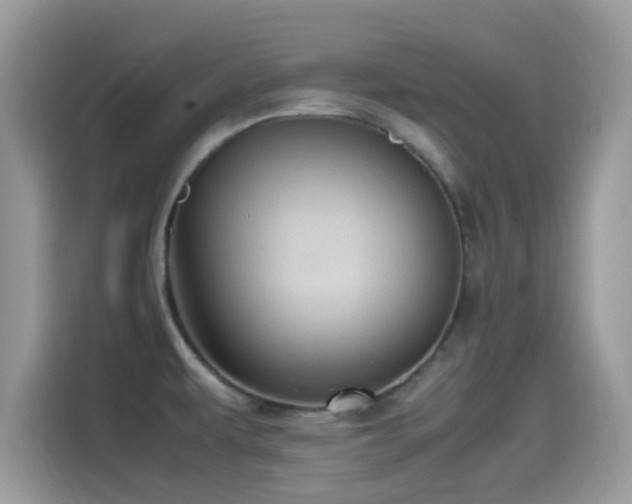 X0000115561479200911131616