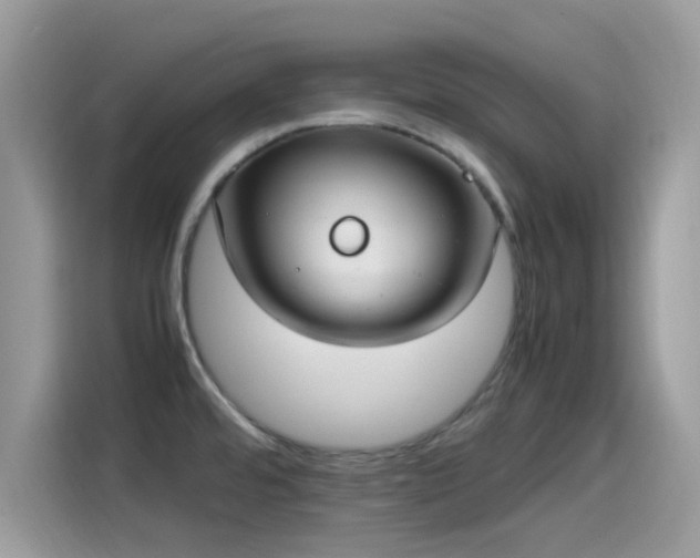 X0000115561480200911131616