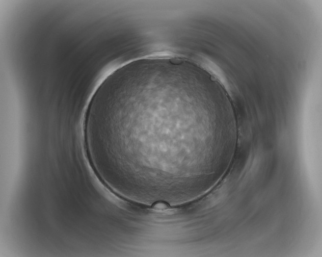 X0000115561483200911131616