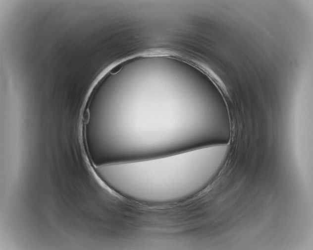 X0000115561484200911131616