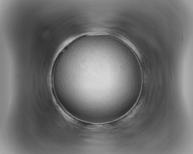 X0000115561485200911131616