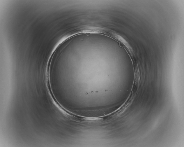 X0000115561487200911131616