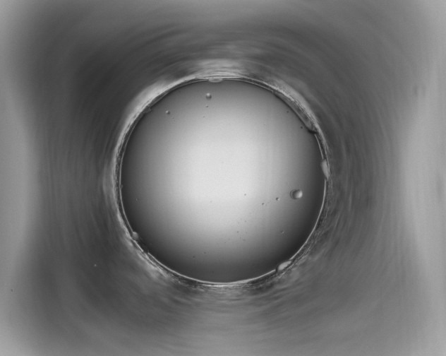 X0000115561488200911131616