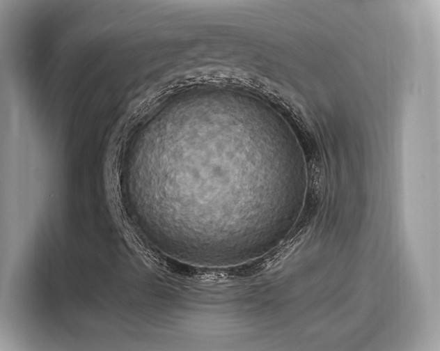 X0000115561489200911131615