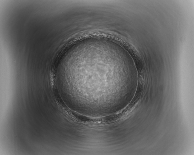 X0000115561490200911131615