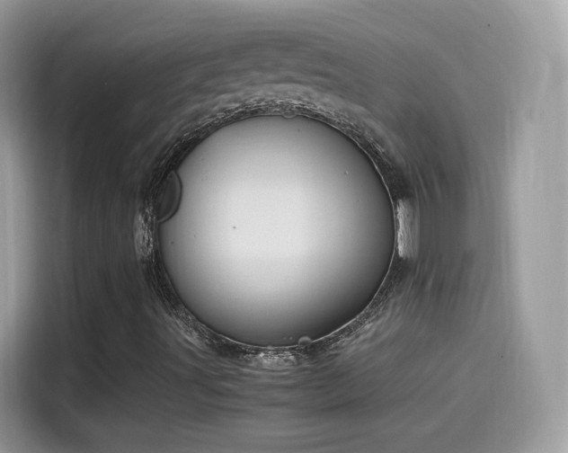 X0000115561491200911131615