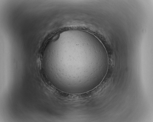 X0000115561493200911131615