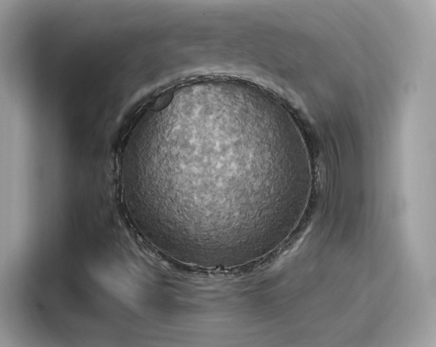 X0000115561494200911131615