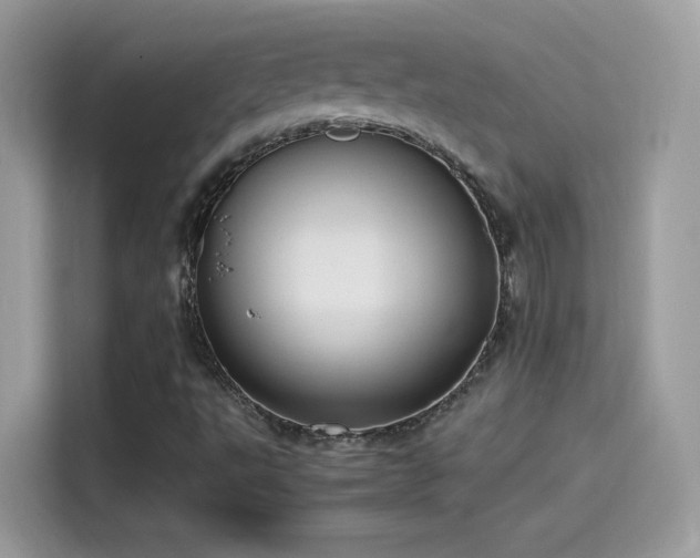 X0000115561495200911131615