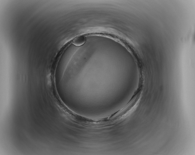 X0000115561497200911131615