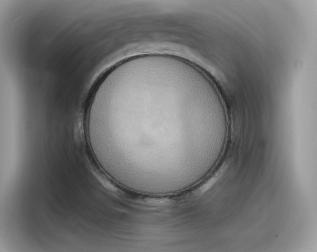 X0000115561498200911131615