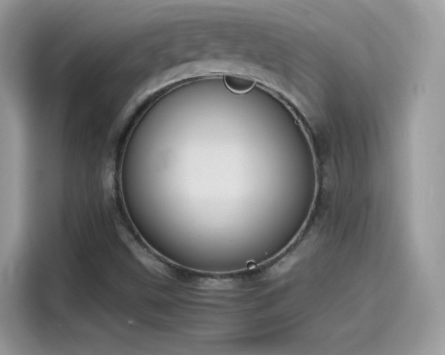X0000115561499200911131615