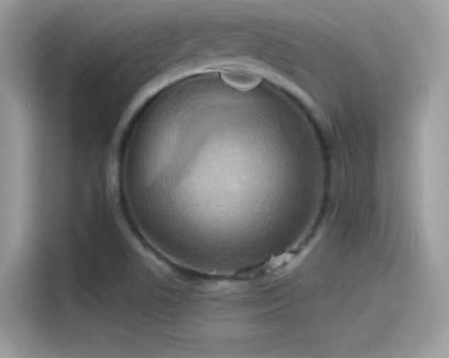 X0000115561506200911131615