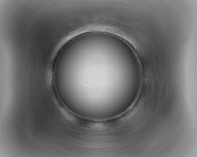 X0000115561507200911131615