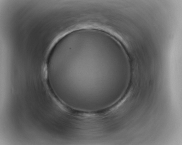 X0000115561509200911131615