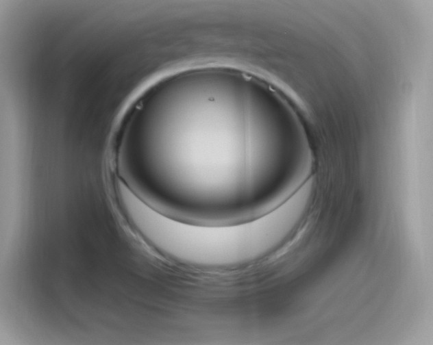 X0000115561510200911131615