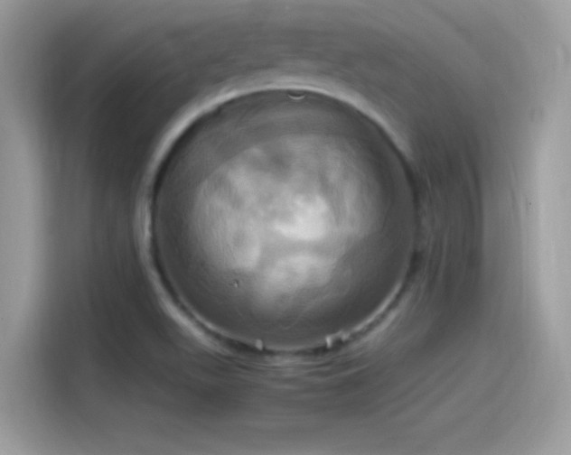 X0000115561511200911131616