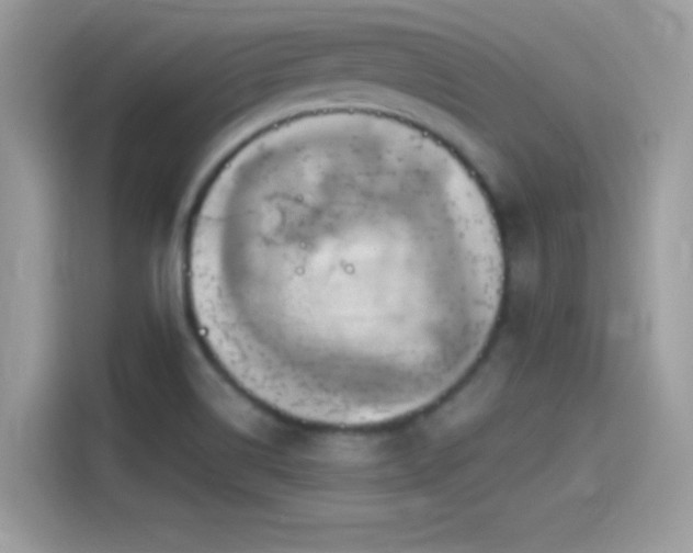 X0000115561514200911131616