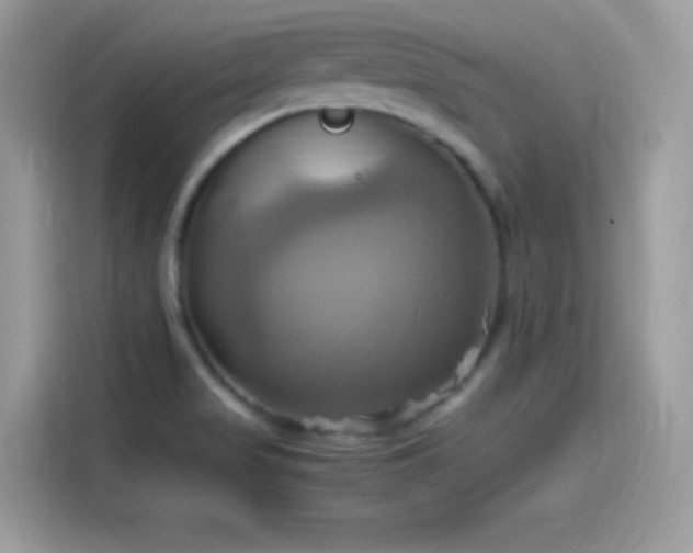 X0000115561517200911131616