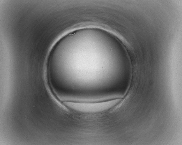 X0000115561518200911131616