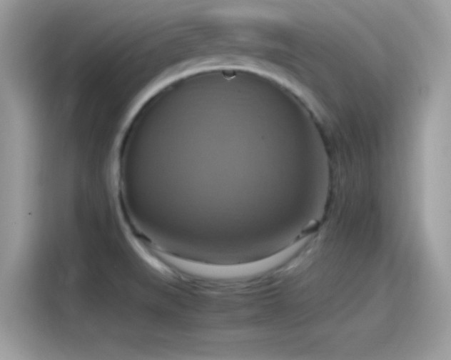 X0000115561519200911131616
