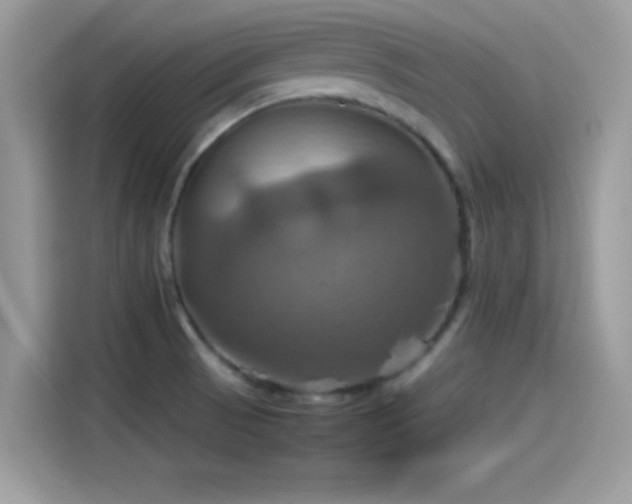 X0000115561521200911131616