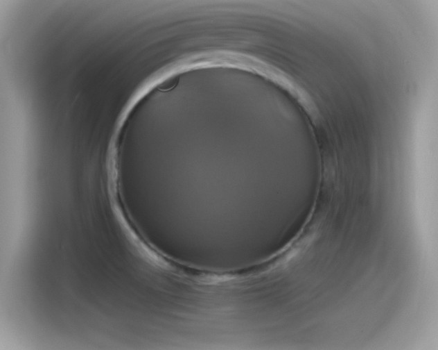 X0000115561522200911131616