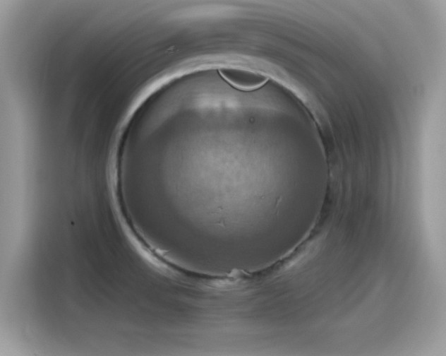 X0000115561523200911131616