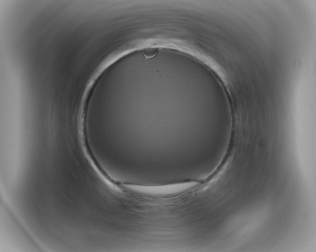 X0000115561525200911131616