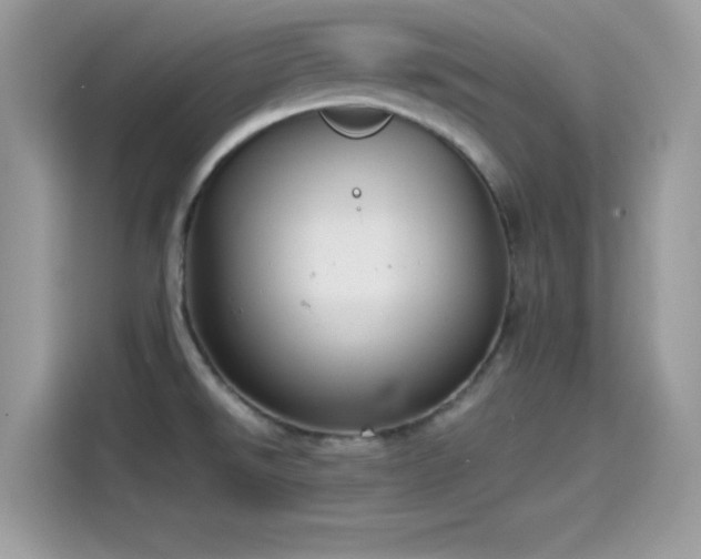 X0000115561526200911131616