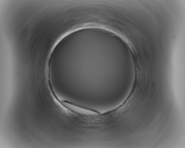 X0000115561527200911131616