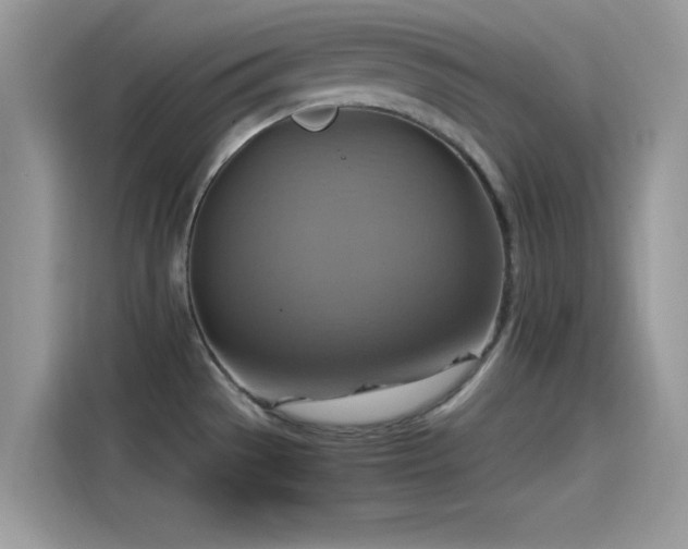 X0000115561529200911131616