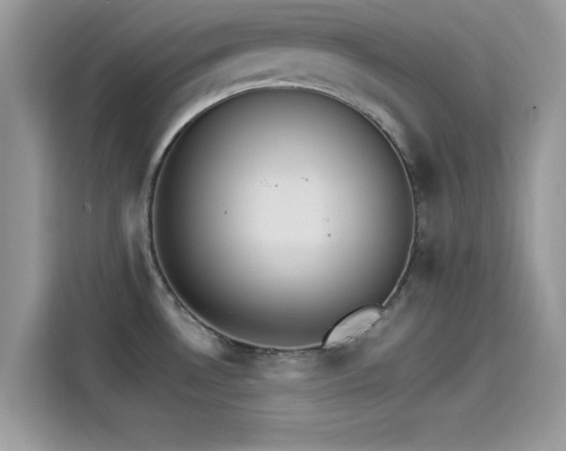 X0000115561530200911131616
