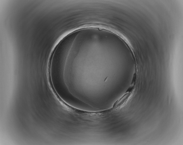 X0000115561533200911131616