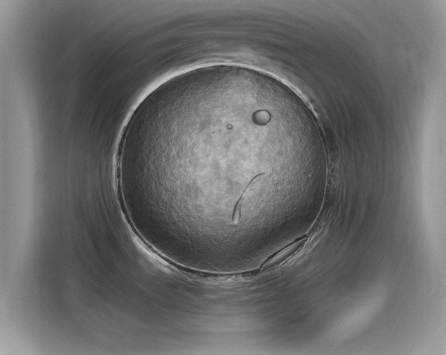 X0000115561535200911131616