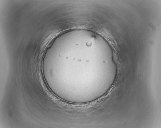 X0000115560001200911201832