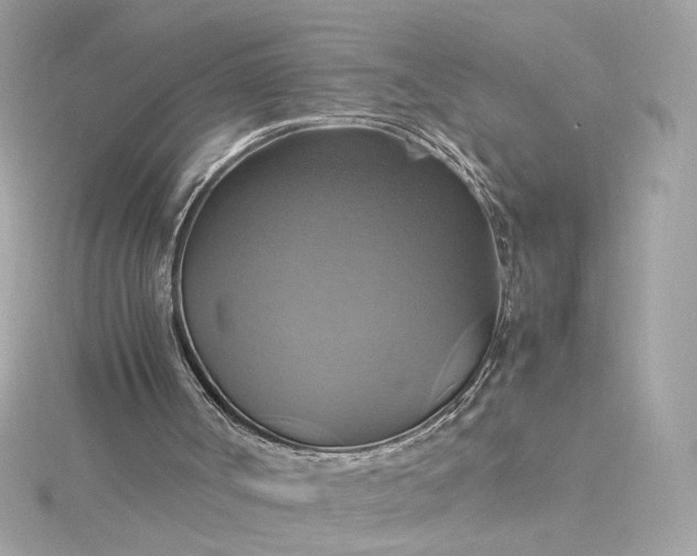 X0000115560002200911201832