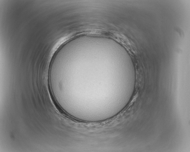 X0000115560003200911201832