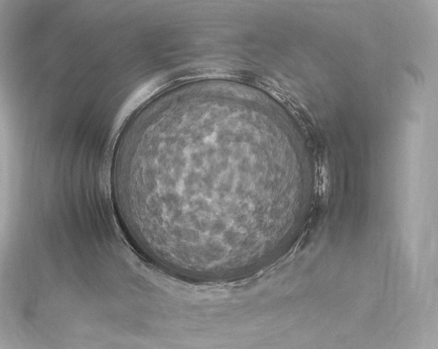 X0000115560004200911201832