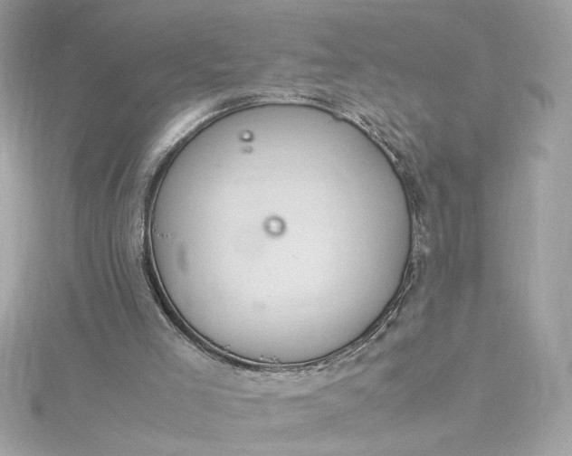 X0000115560005200911201832