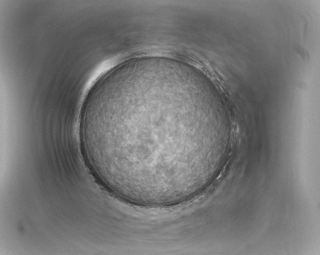 X0000115560006200911201832