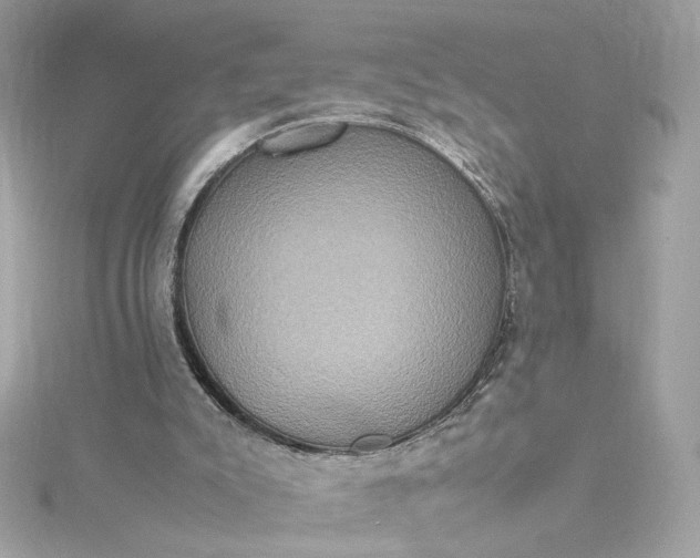 X0000115560007200911201832