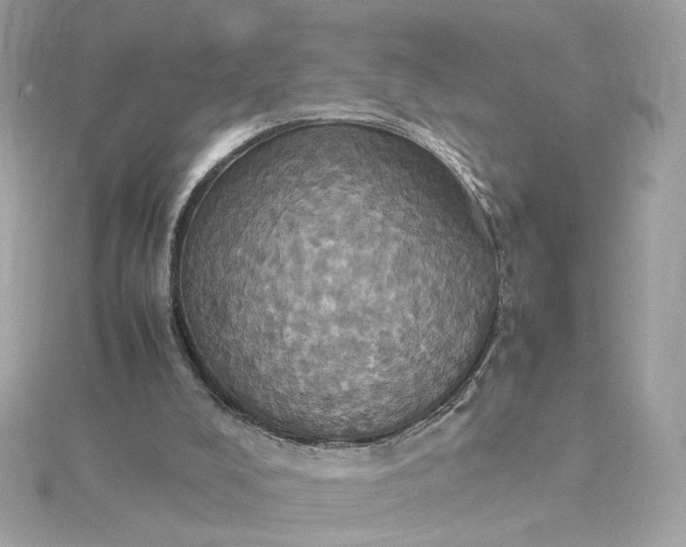 X0000115560008200911201832